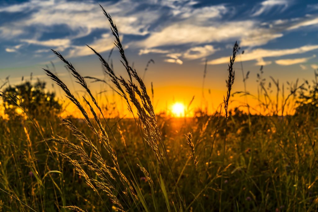 Gotówka od ręki w zamian za wystawione faktury