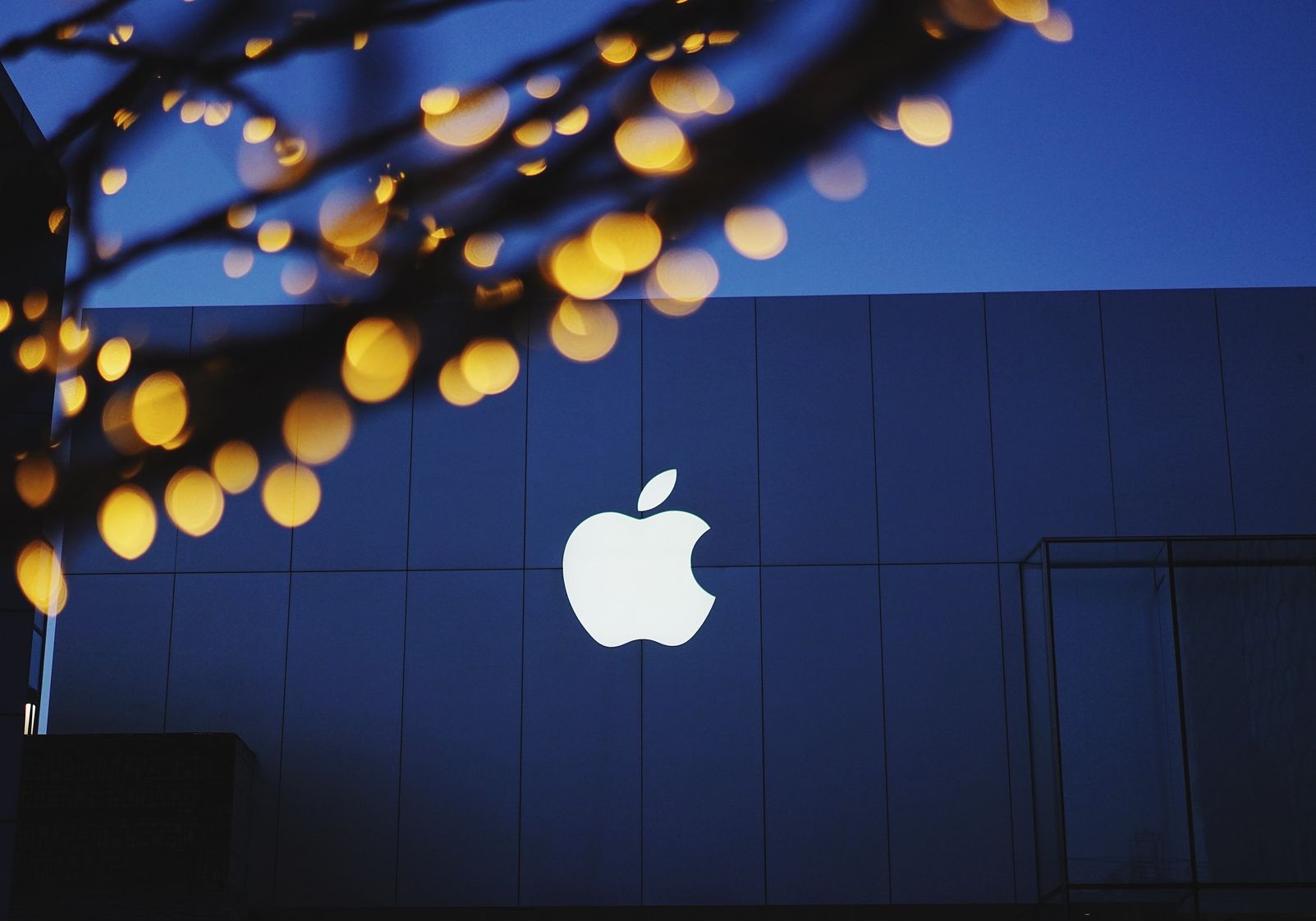 Apple 2211444