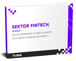 https://cms.fintek.pl/wp-content/uploads/2019/05/Ebook-Sektor-Fintech.pdf