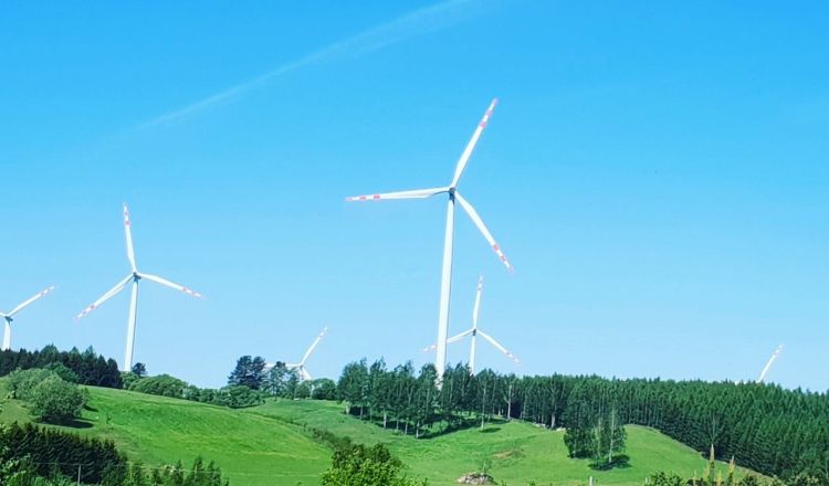 Banki też chcą być eko. mBank przeznaczy 1 miliard złotych na zieloną energię