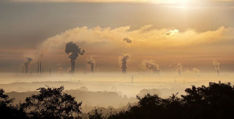 Mają do dyspozycji 47 bilionów dolarów. Teraz łączą siły dla ochrony planety