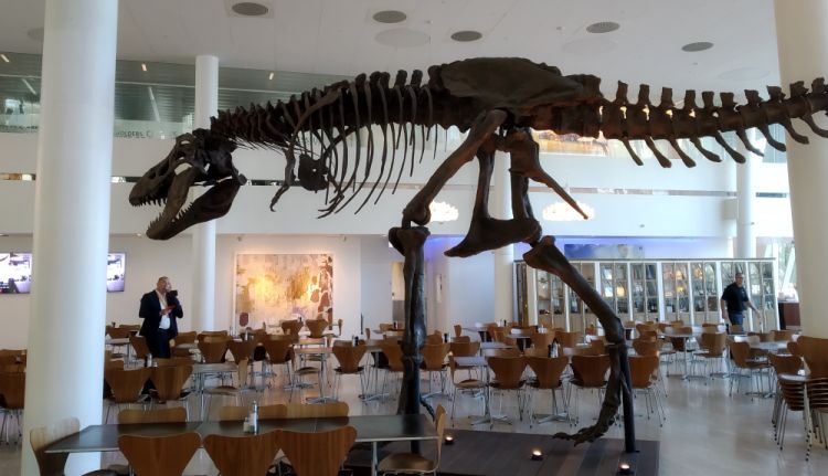 Fintech, sztuka i dinozaury. Fintek.pl z wizytą w Saxo Banku