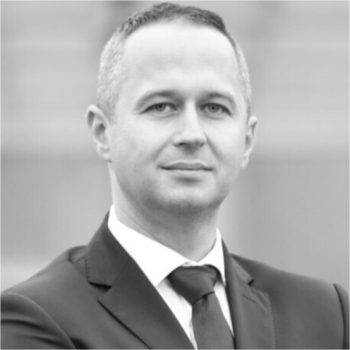 Grzegorz Szulik, Prezes zarządu Provemy