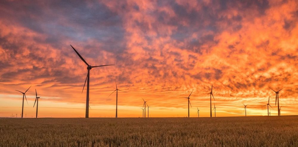 Kalkulator śladu węglowego dostępny dla wszystkich klientów biznesowych BNP Paribas