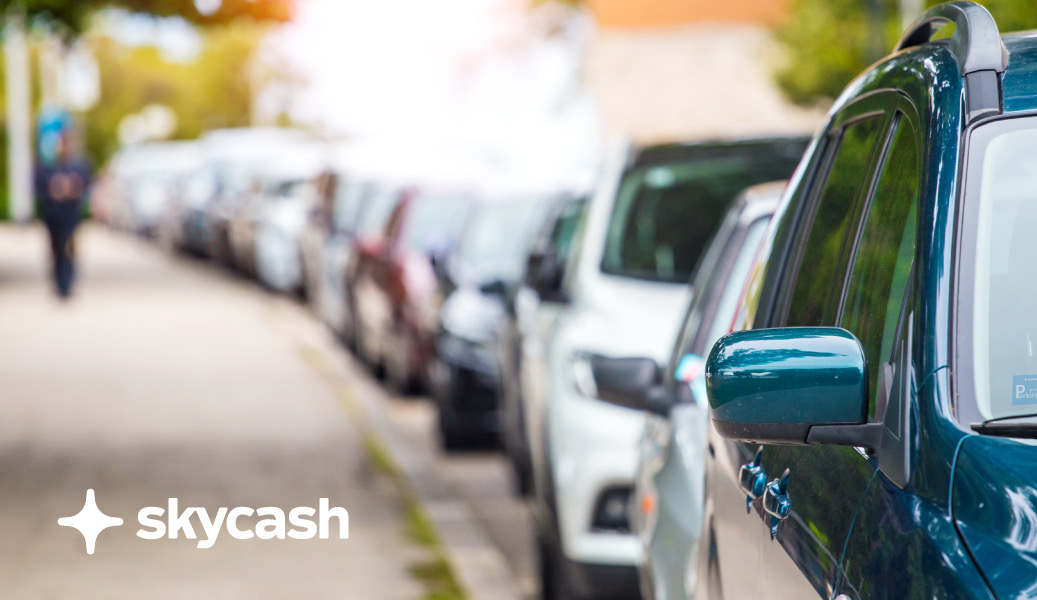 SkyCash uruchamia platformę crowdfundingową SkyAnts