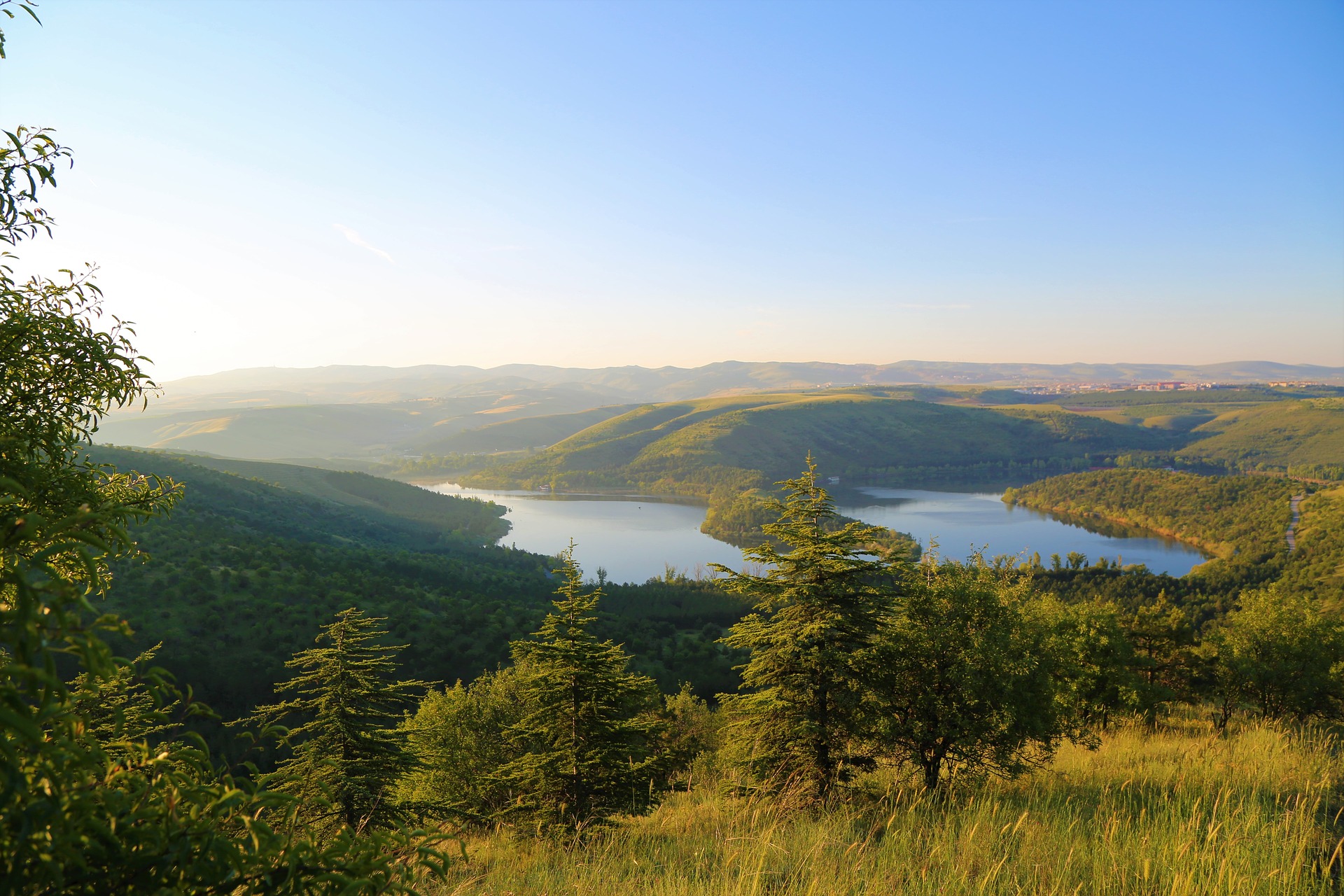 Landscape