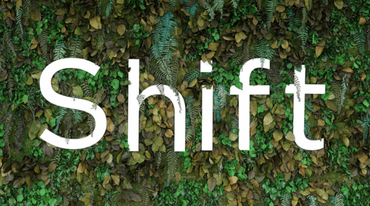 Shift Technology pozyskało 220 mln USD i zyskało status jednorożca