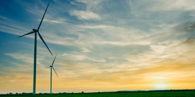 Orange Flex pierwszą w Polsce usługą telekomunikacyjną neutralną dla klimatu 