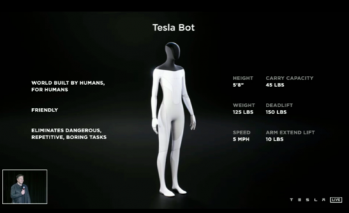 tesla bot