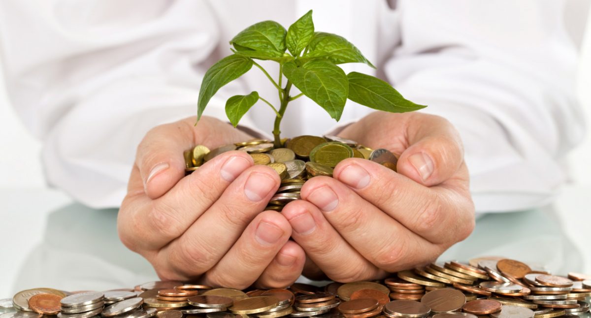 Jakie są zarobki polskich startupów i ich pracowników?