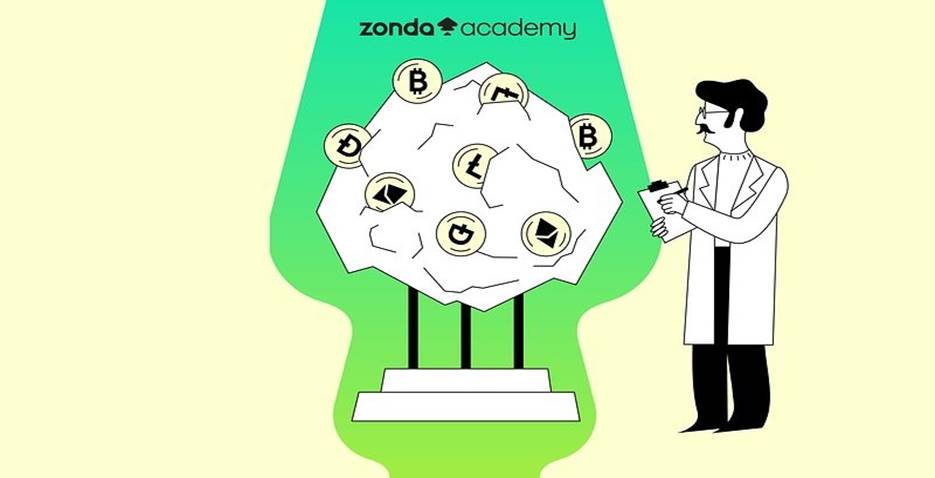Akademia Zondy chce uczyć Polaków o kryptowalutach. Wciąż mało o nich wiemy