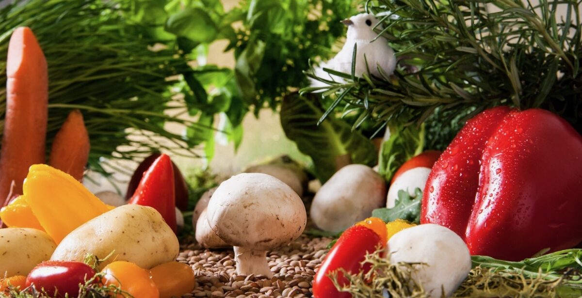 Polski startup Fresh Inset pozyskał 10 mln PLN