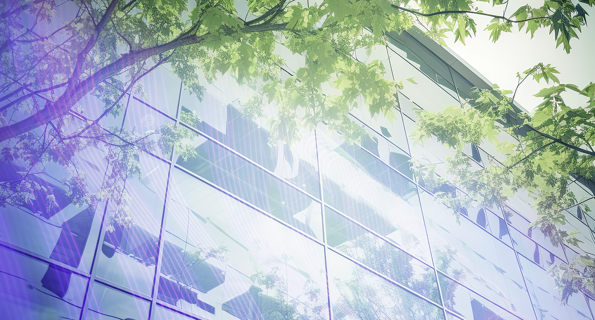 08_eco02