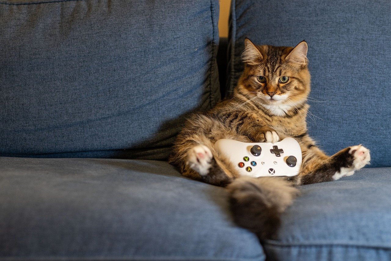 gaming gry wideo