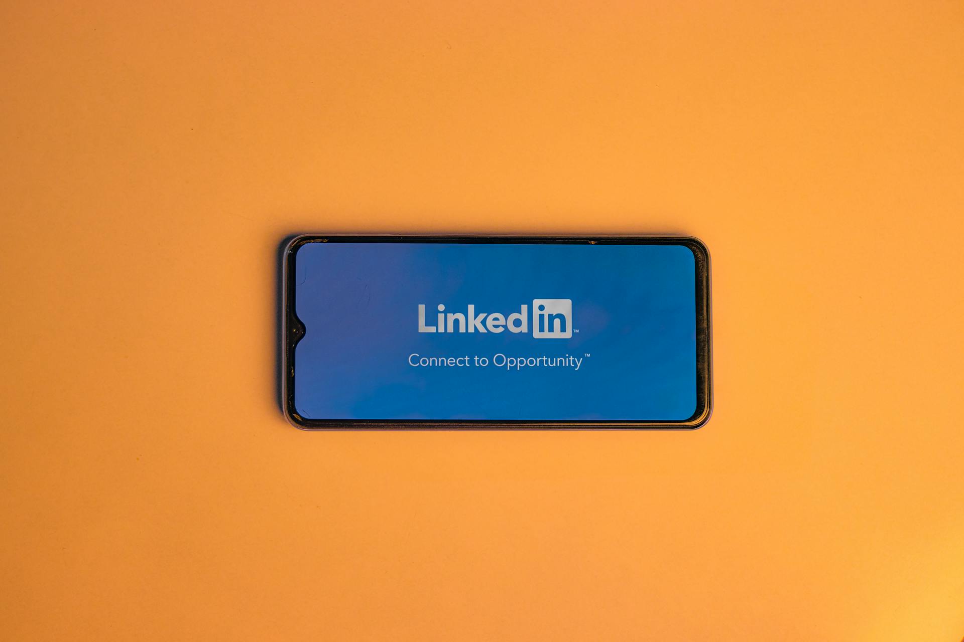 Linkedin 2213