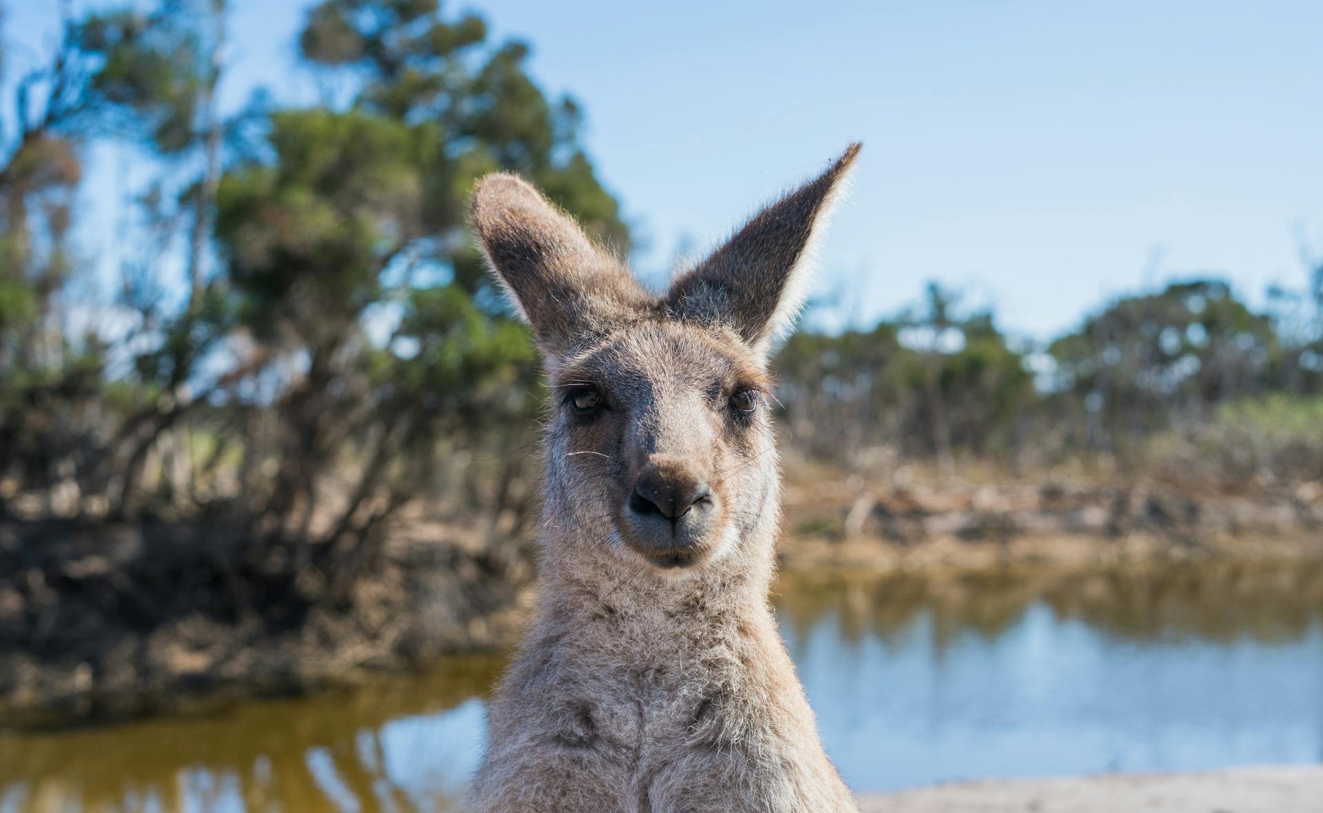 Australia 4567900